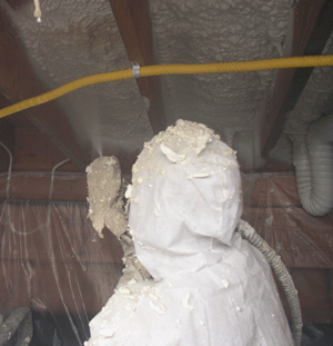 Manchester GA crawl space insulation