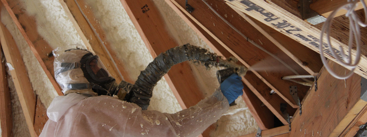 Manchester Georgia Attic Insulation Spray Foam